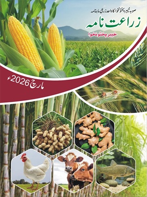 Zarat Nama March 2026